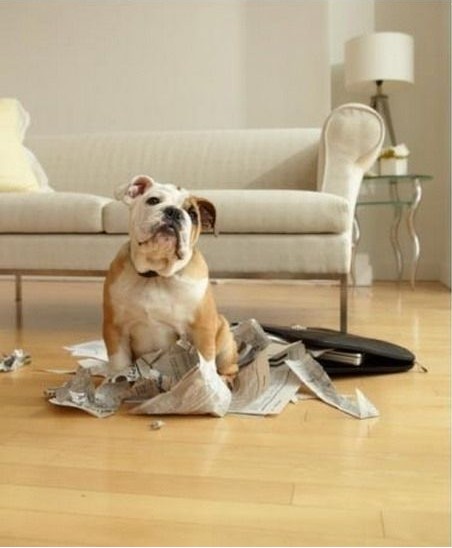 �������Д[�O��ԓ�M������һЩ���F�ء���Ʒ